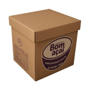 Creme de Açaí 10 Litros